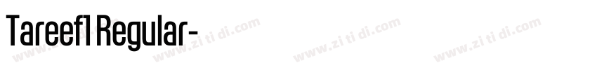 Tareef1 Regular字体转换